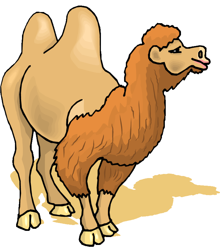 Yak clipart cute. Free camel