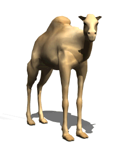 camel clipart animated gif