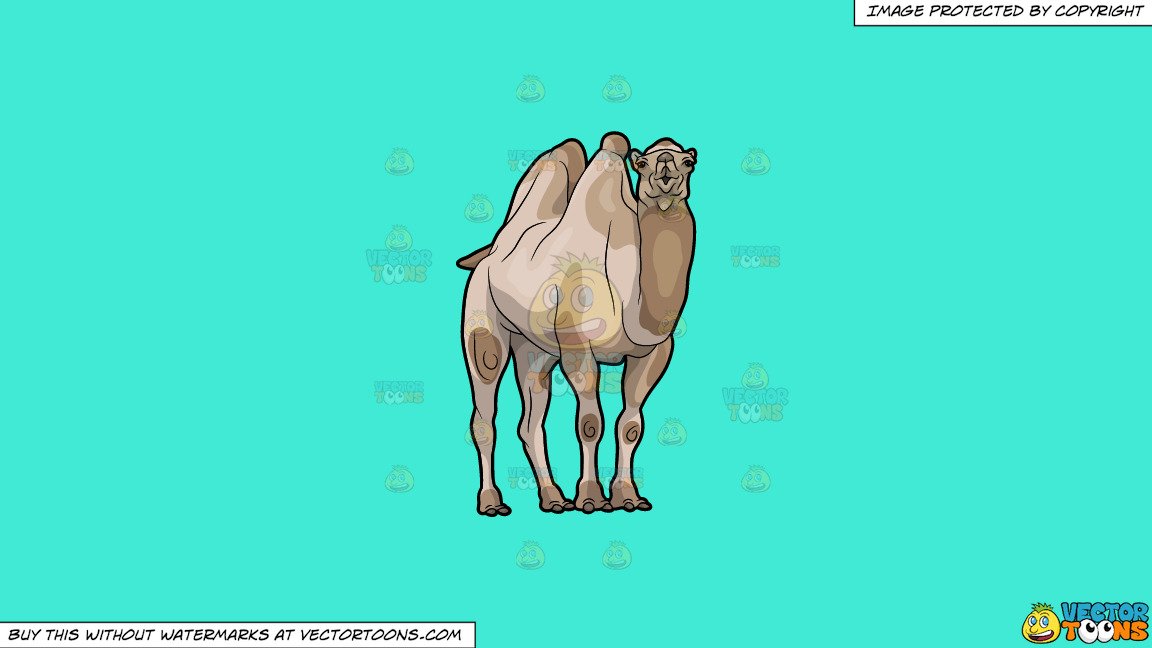 camel clipart brown