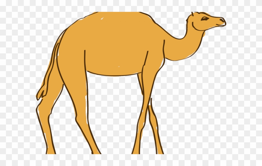 camel clipart camel egyptian