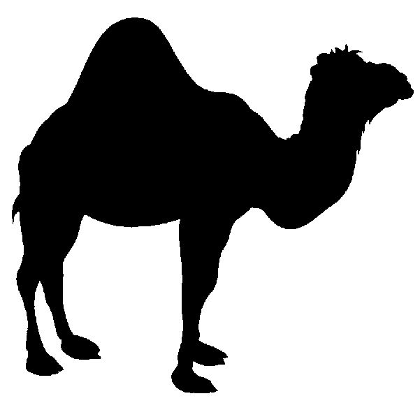 camel clipart camel egyptian