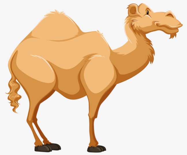 camel clipart camello