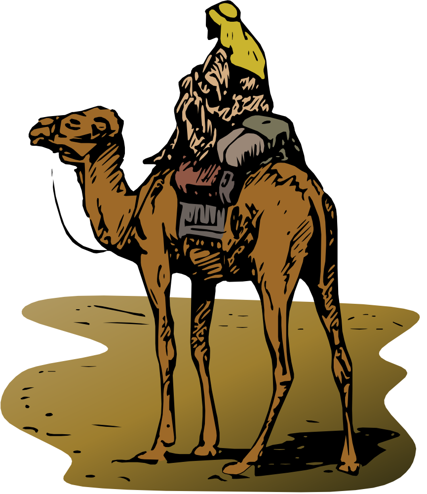 camel clipart cammel