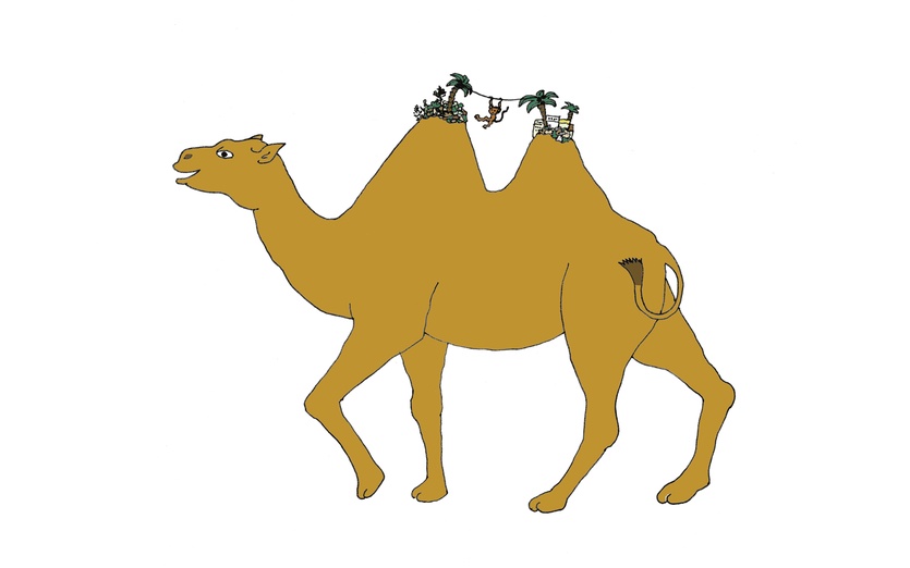 The and his little. Camel clipart colorful