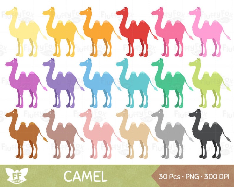 Camel clipart colorful. Camels cartoon clip art