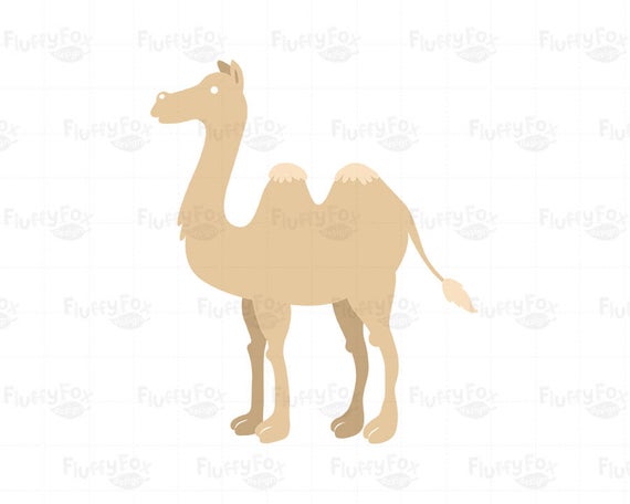 Camels cartoon clip art. Camel clipart colorful