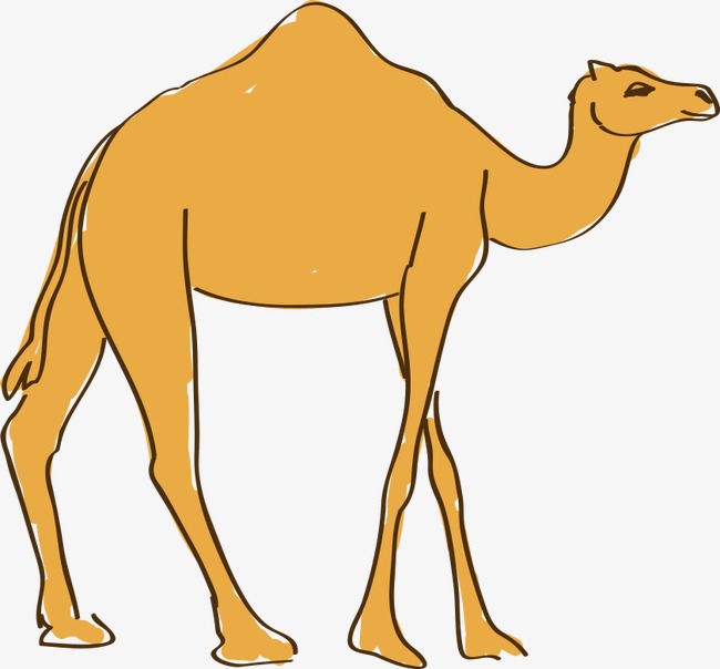 camel clipart comic