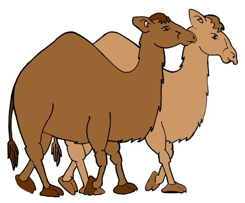 camel clipart comic
