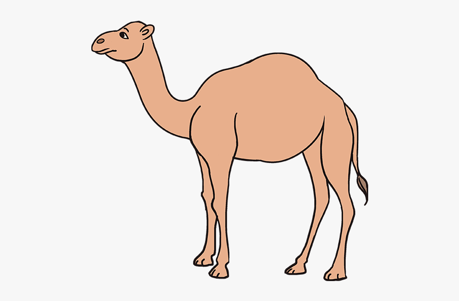 Camel clipart easy, Camel easy Transparent FREE for ...