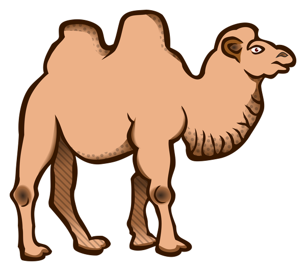 . Camel clipart hump