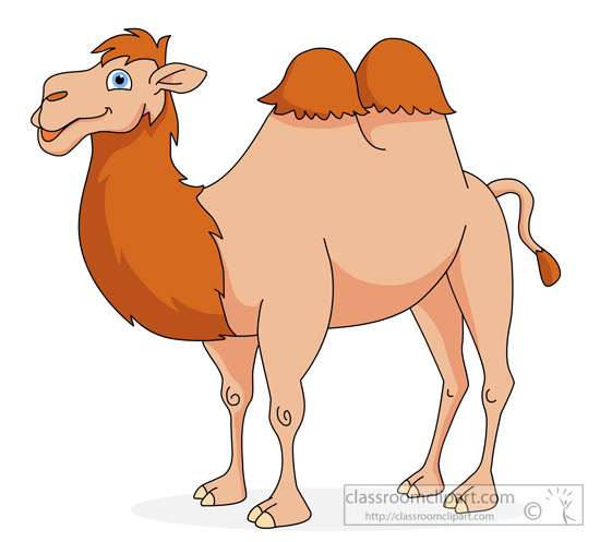 . Camel clipart hump
