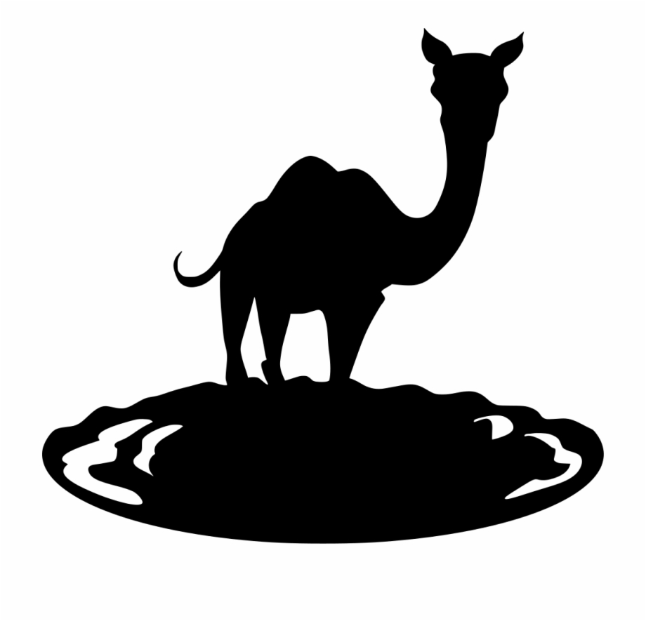 Camel clipart journey. Latest transparent png free