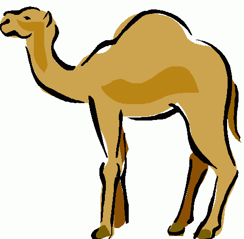 camel clipart logo