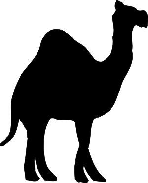 camel clipart nativity