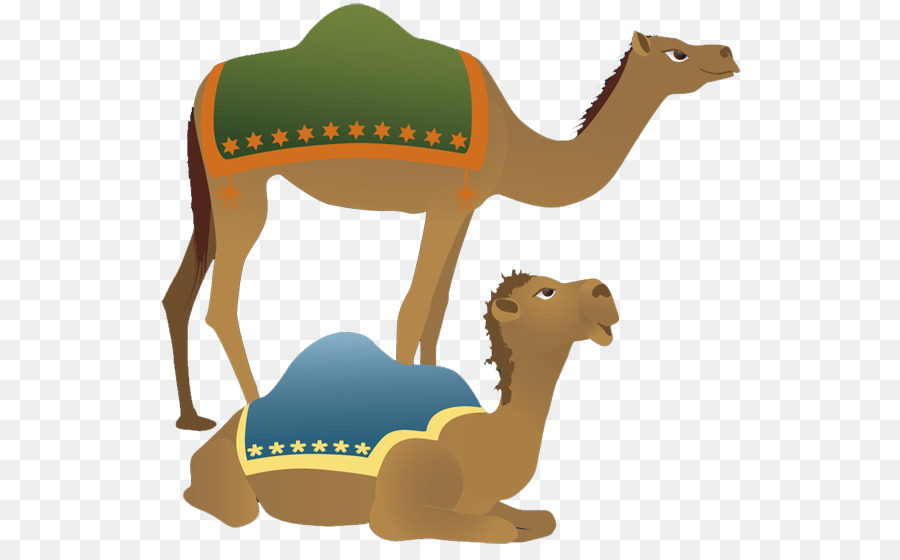 camel clipart nativity