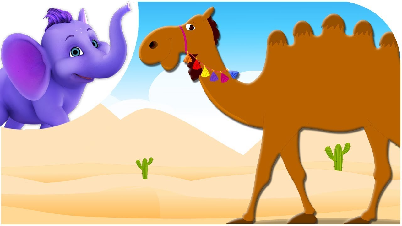 camel clipart sally the camel