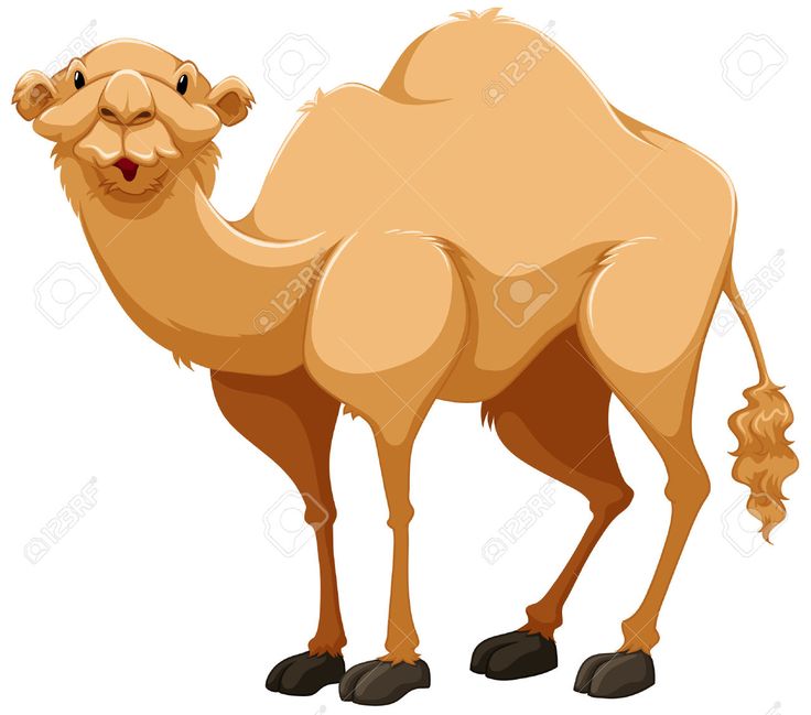  best clip art. Camel clipart she