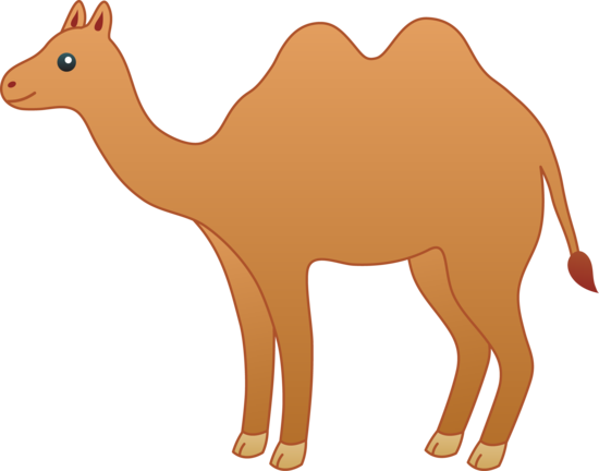 Pencil and in color. Camel clipart she