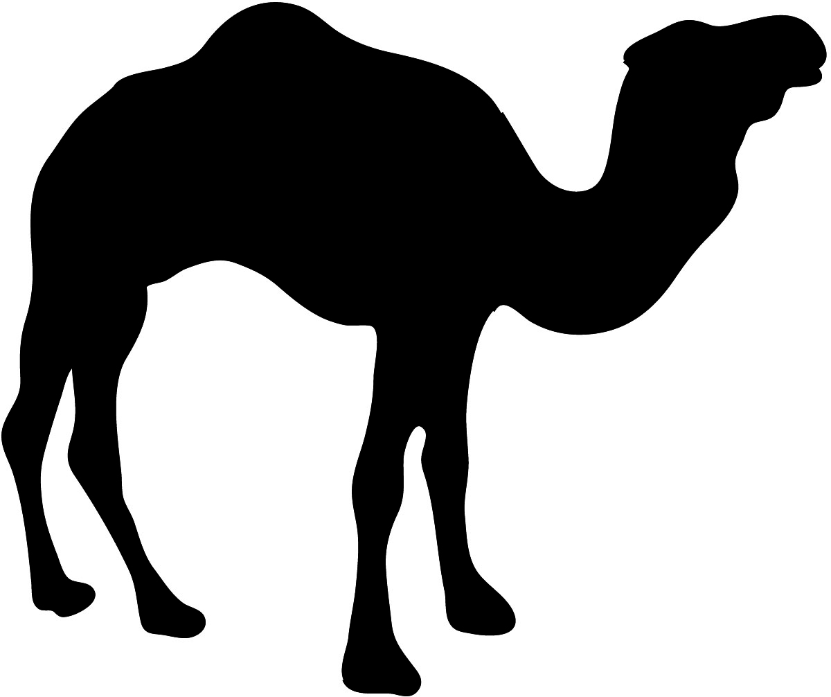 Camel silhouette clip art. Buffalo clipart big 5