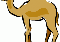 camel clipart simple
