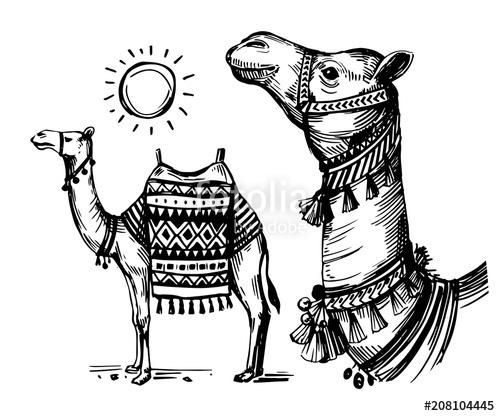 Camel clipart sketches. Sketch of stock image