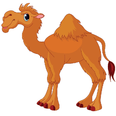 Funny pictures animals pinterest. Camel clipart transparent background