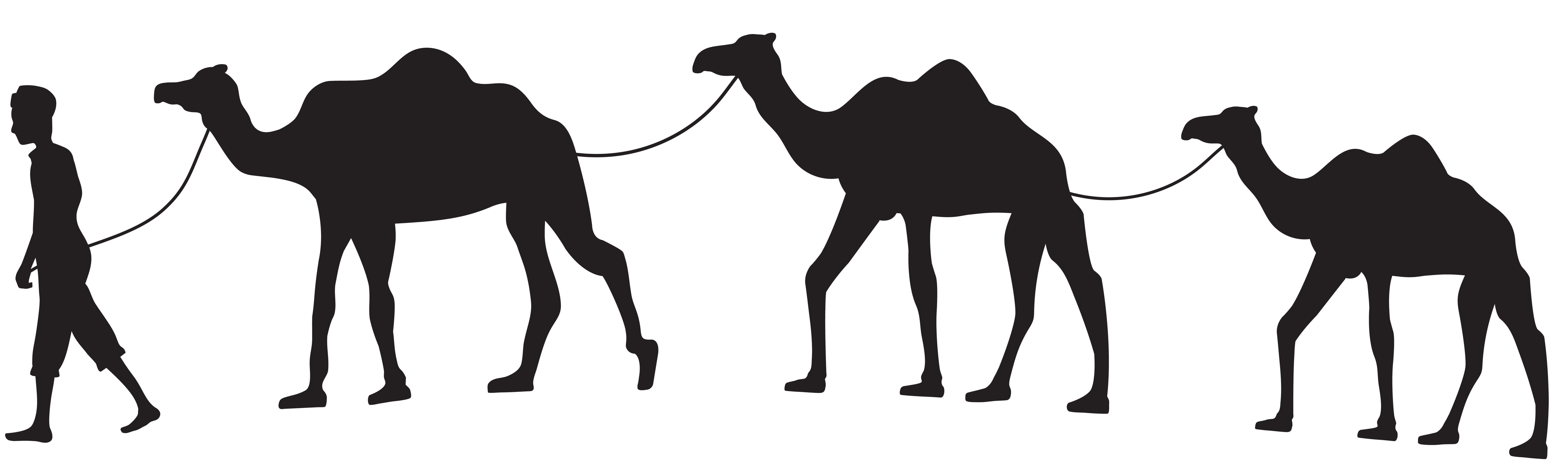 Camel clipart transparent background. Caravan silhouette png clip