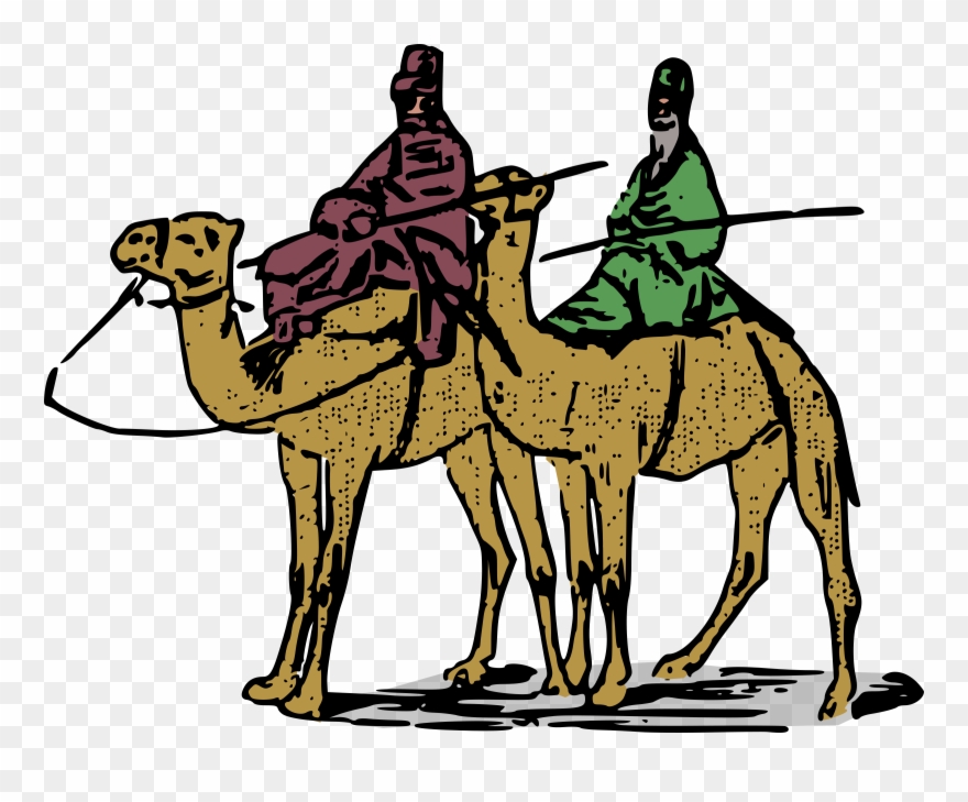 camel clipart transportation