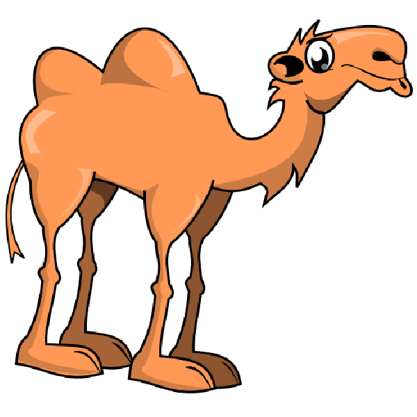 camel clipart vector