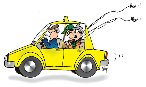 Southwest fly fishing incredible. Car clipart transporter