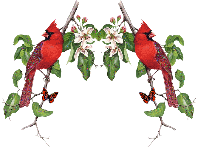 Cardinal clipart animated. Animal gif graphics ricwood