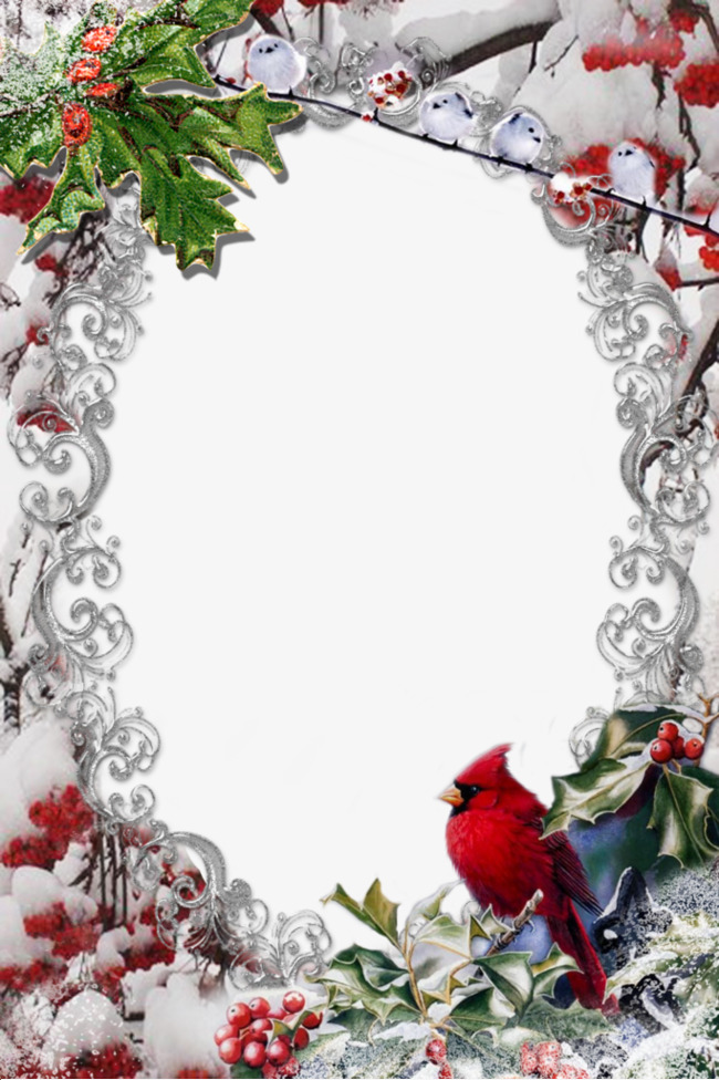 Cartoon frames material picture. Cardinal clipart borders