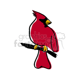 Free download best on. Cardinal clipart branch clipart