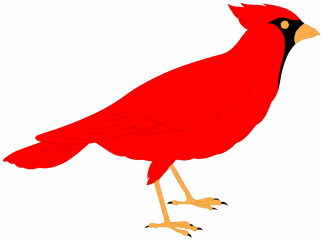 Free bird download clip. Cardinal clipart cartoon