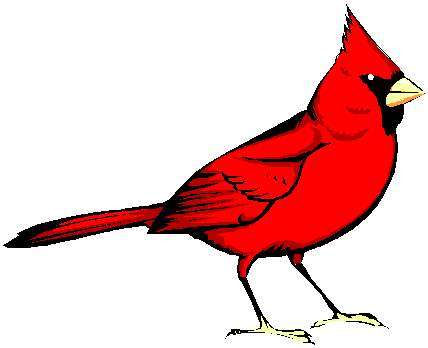 Bird printable . Cardinal clipart cute