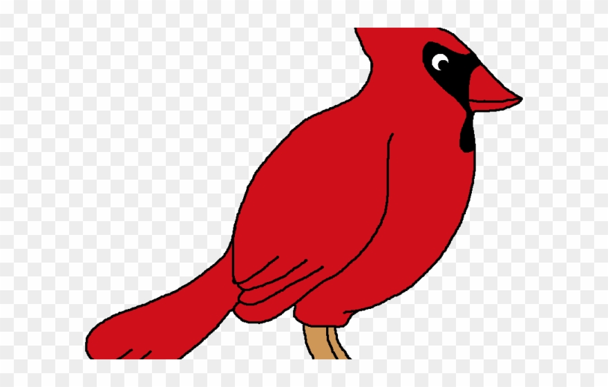 Bird png download . Cardinal clipart cute