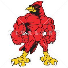 cardinal clipart fighting