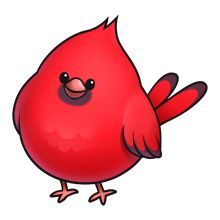 Cardinal kawaii