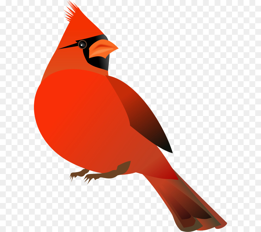 cardinal clipart northern cardinal