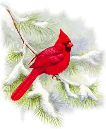 cardinal clipart snow clipart