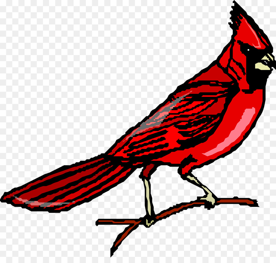 Songbird northern clip art. Cardinal clipart song bird