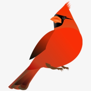 cardinal clipart svg
