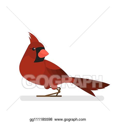 cardinal clipart vector