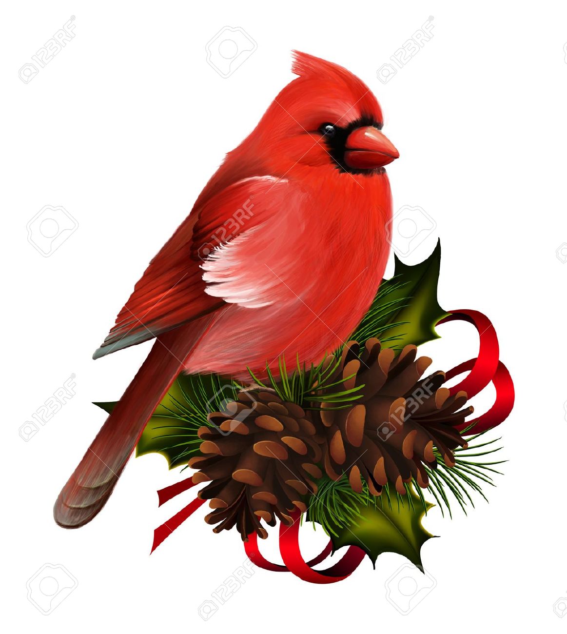 cardinal clipart vintage