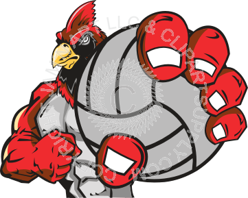 Cardinal clipart volleyball. Holding 