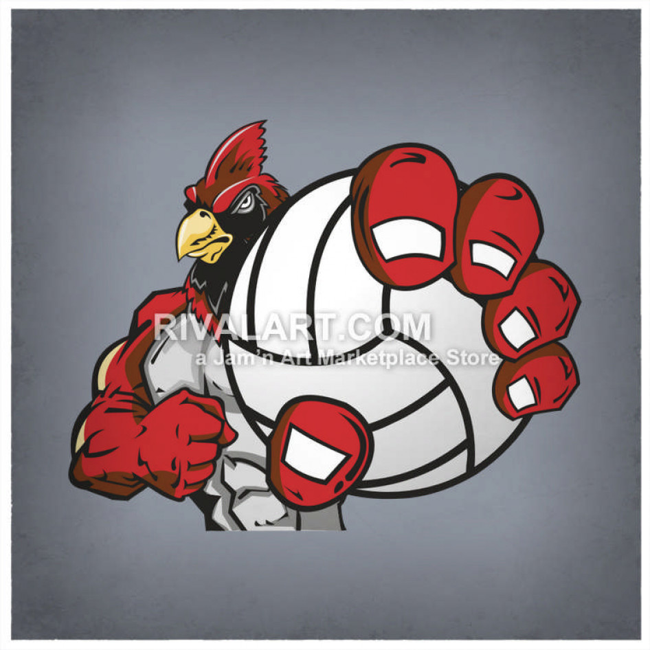 Cardinal clipart volleyball. Holding a in color