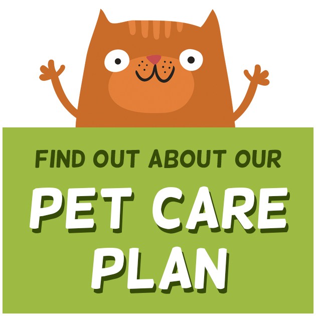 caring clipart care plan