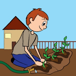 Garden clipart boy. Taking care of plants