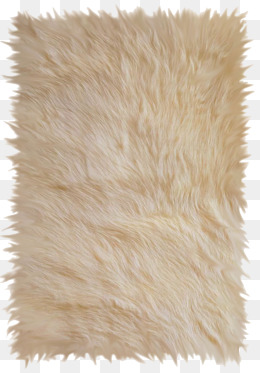 carpet clipart fur