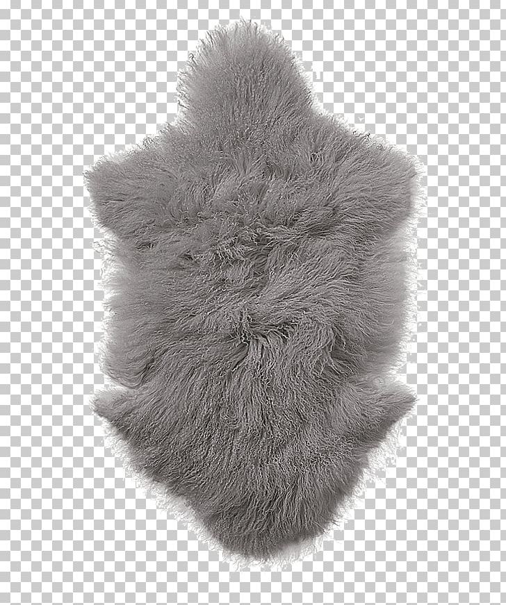 Carpet clipart fur. Grey png animal product
